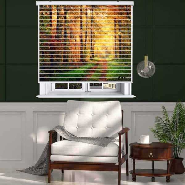 پرده زبرا زیو مدل L-5029 سایز 150x150 سانتی متر