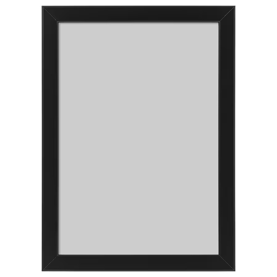قاب عکس ایکیا مدل FISKBO-NEW سایز 30x21 سانتی متر