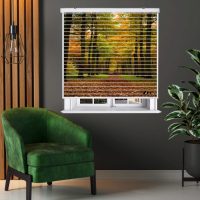 پرده زبرا زیو مدل L-5051 سایز 150x150 سانتی متر