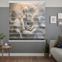 پرده زبرا زیو کد 3D1336 سایز 150x200 سانتی متر