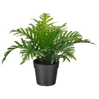 گلدان به همراه گل مصنوعی ایکیا مدل FEJKA-50493349