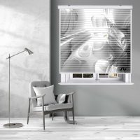 پرده زبرا زیو مدل سیلوئت 3D1371 سایز 150x150 سانتی متر