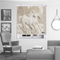 پرده زبرا زیو مدل سیلوئت 3D1458 سایز 150x150 سانتی متر