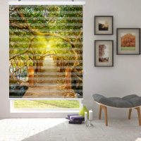 پرده زبرا زیو مدل L5063 سایز 200x200 سانتی متر