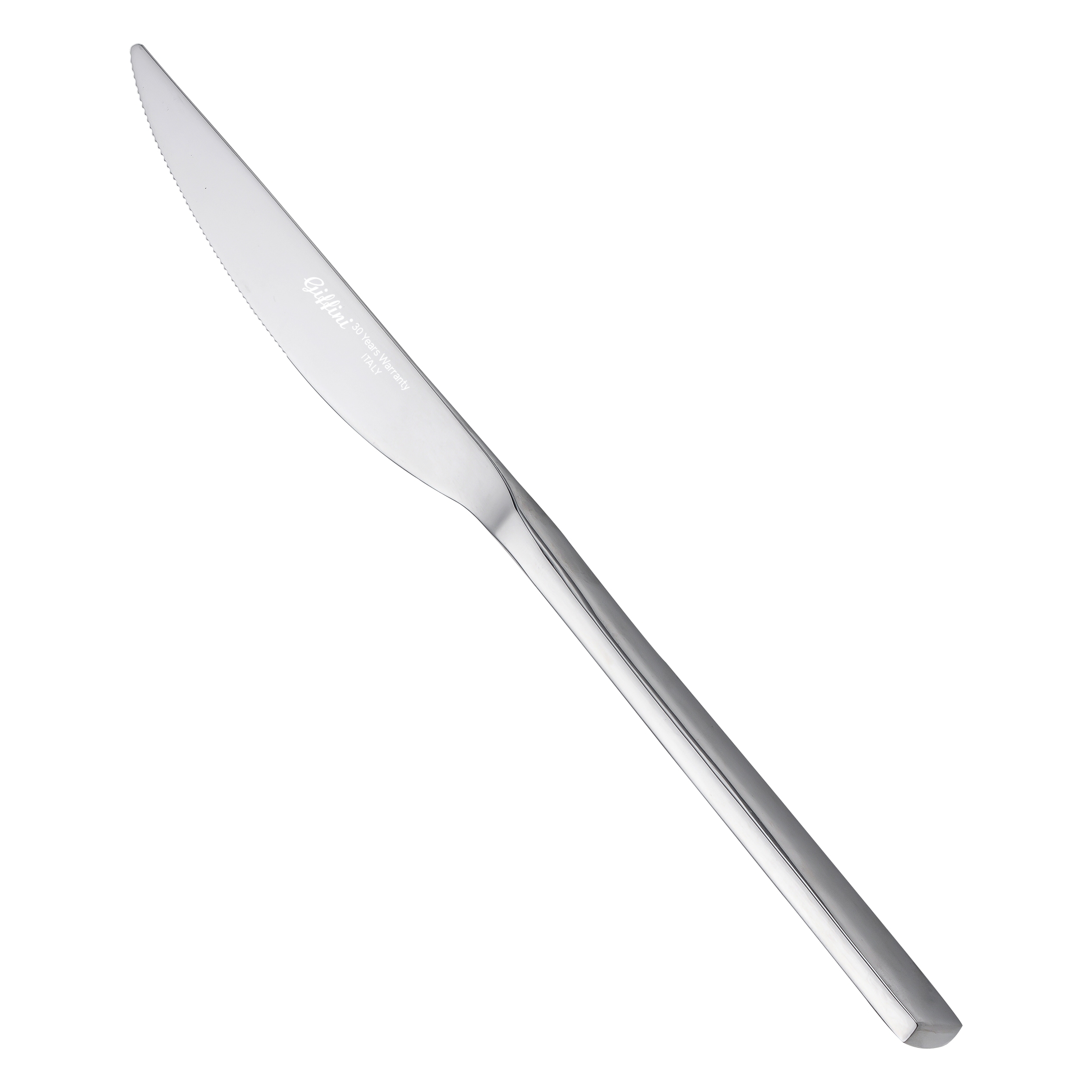 کارد سرو استیک 1 پارچه جی فی نی کد G-10 مناسب 1 نفر